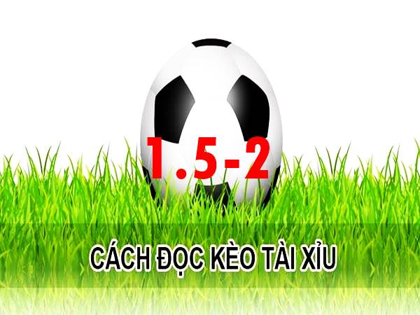 TX 1.5-2 trái là gì? Một vài ví dụ về mốc TX 1.75