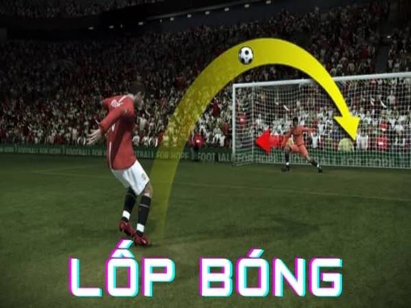 lop-bong-la-gi