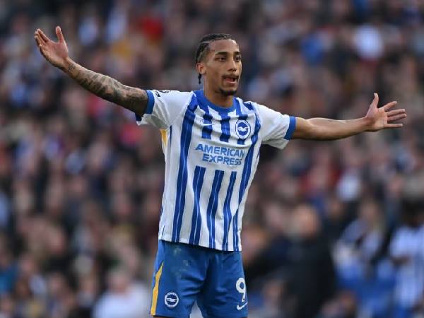 Bóng đá Anh 1/7: Chelsea chốt nhanh thương vụ Joao Pedro Bóng đá Anh 1/7: Chelsea chốt nhanh thương vụ Joao Pedro